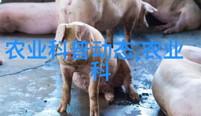 西北苗木行情暴跌背后的阴谋与沉默的森林