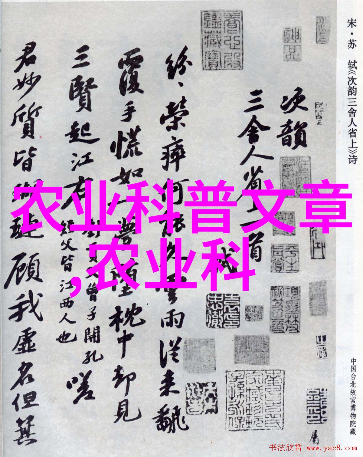 绿意盎然的奇迹探秘1000种多肉植物