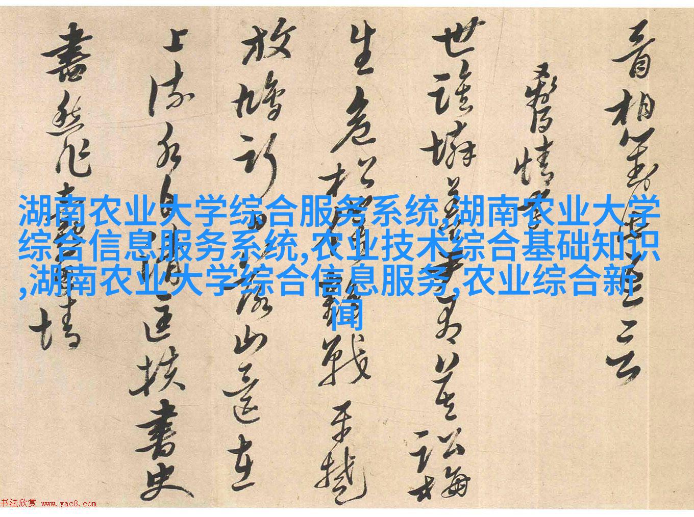 各种色彩搭配