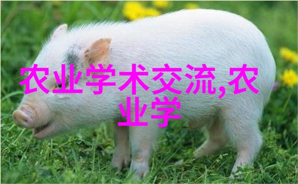 探秘盆栽花卉世界种植小技巧与养护大法