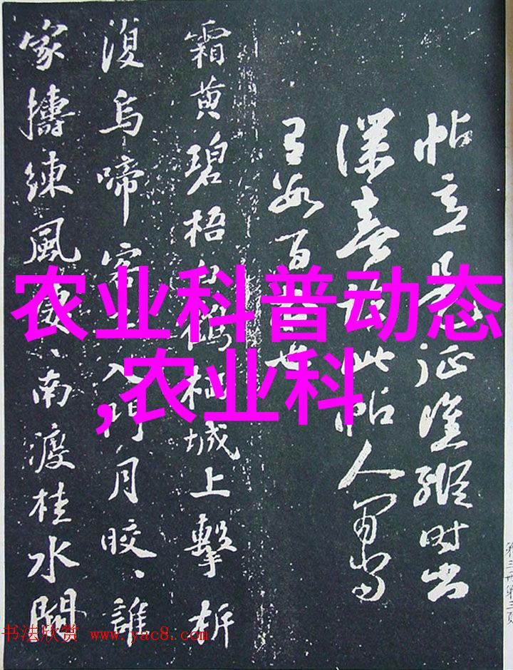 最隐秘的招聘揭开最新职位的神秘面纱
