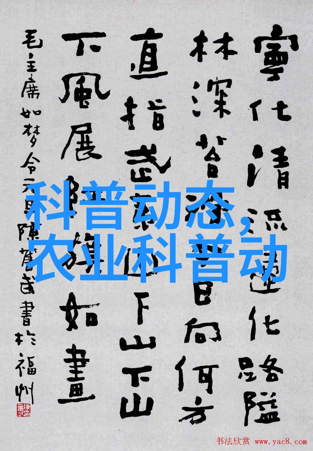 东北老女人的大叫一场心灵的爽死