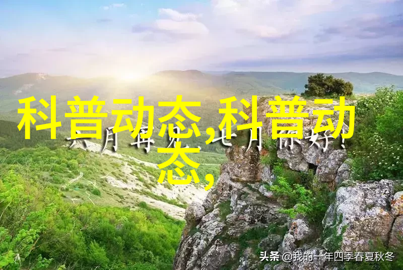 西洋菜我的厨房里的异国情调