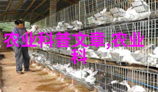 机声悠扬之谜榨油机的秘密