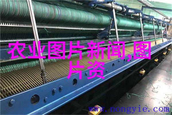 常见花卉种植方法大全 - 精彩满分揭秘各种花卉的最佳栽培技巧