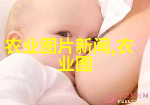 在不同季节我们可以吃到哪些十字花科的野生植物呢