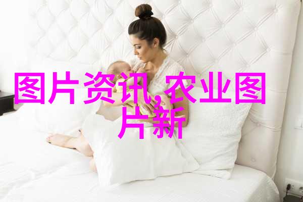 红枫叶当代中药市场上最贵的珍品
