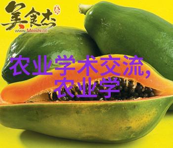 种子世界探索各种植物种子的图片与名字背后故事
