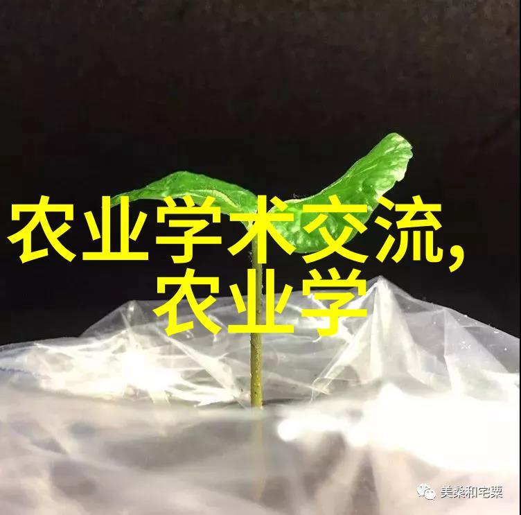 室内种植蔬菜品种我来教你怎么在家里搞个小型蔬菜田