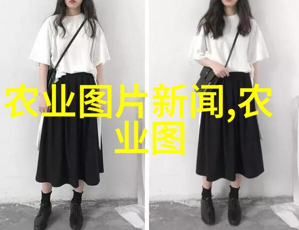 对于不同规模的家庭园艺或小型农业企业来说是否真的需要一台专业的农用挖掘机