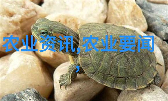 上海闵行区不仅垃圾分类火了还能赚钱河南省农业综合开发公司的垃圾处理工作也值得我们学习