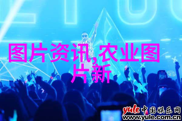 金色海洋玉米种植的奇迹与挑战