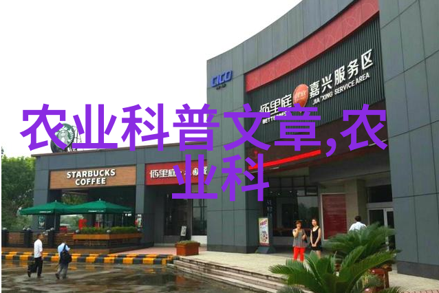生活点滴我在超市看到的18公分天竺桂价格真的太吸引人了