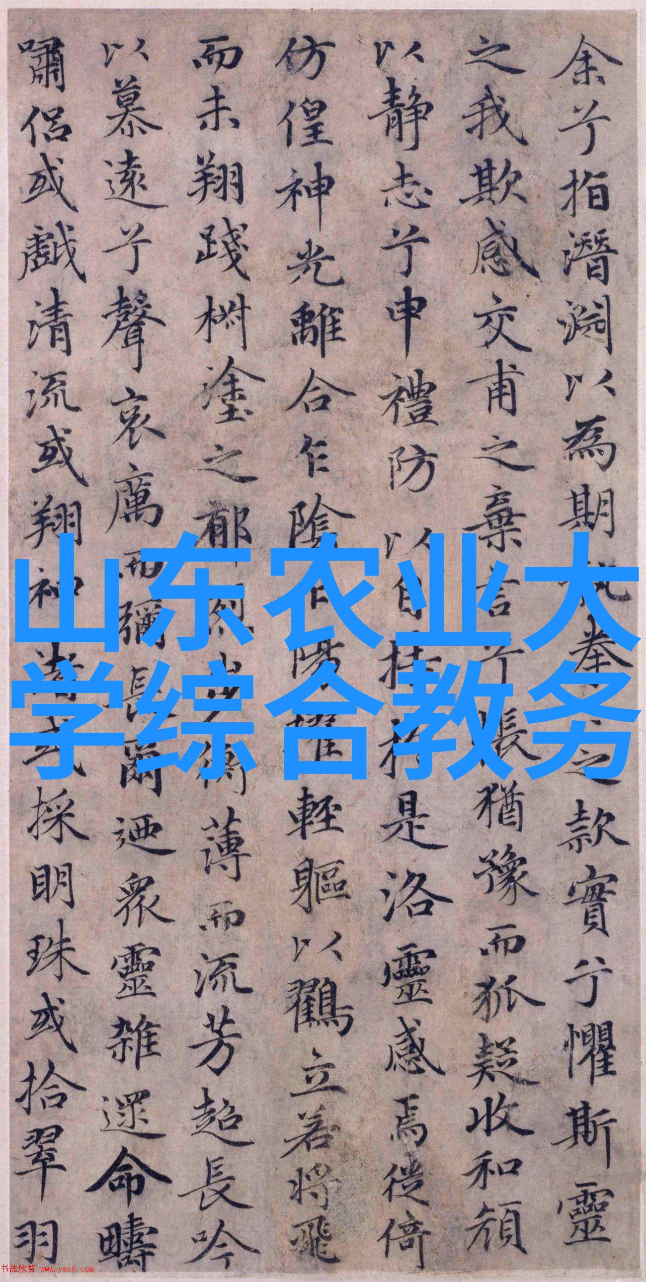 农村常见60种野生中草药-探秘乡间识别与利用农村中的野生中草药