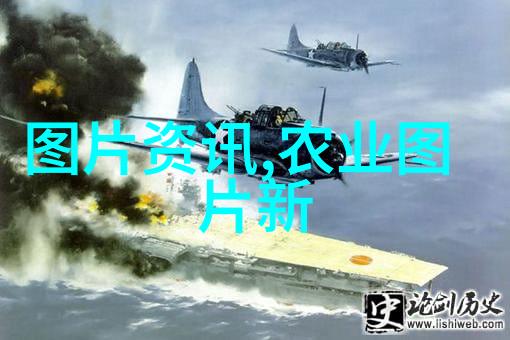 花海之韵绽放的价值与色彩之间的交响