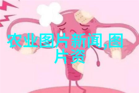 中国茶叶之美品鉴历代名种