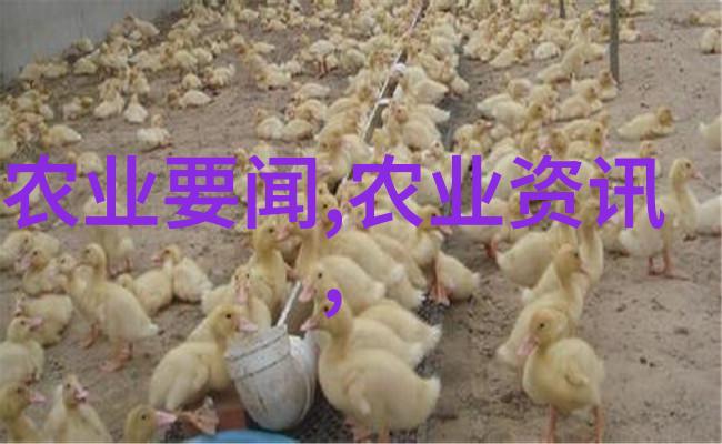 中医文化在全球化背景下的价值提升及其对内地原料需求的影响