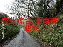 如何选择一只超级强壮的绒山羊种公羊来提升你的养殖羊技术
