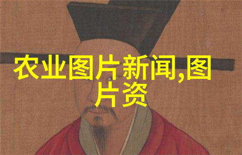 室内十大吉利花增添温馨与福祉的最佳选择