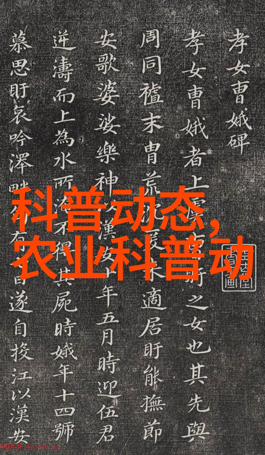 中国养猪网我是如何在网上找到了最合适的猪宝宝