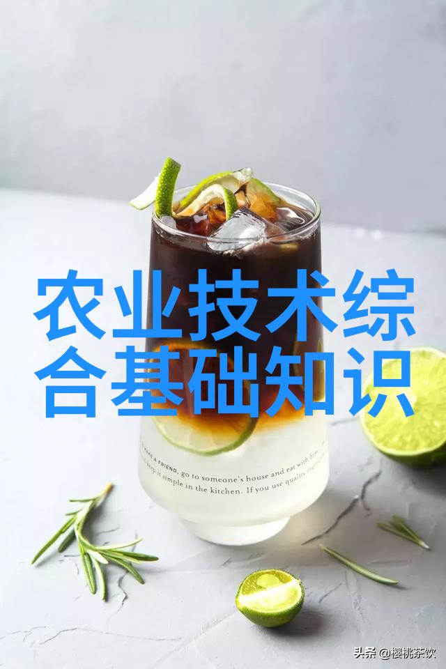 圣诞老人的快乐冒险冬日奇遇记