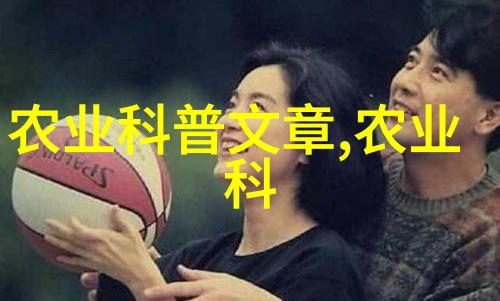 丰富多彩的果实世界种子之美绽放
