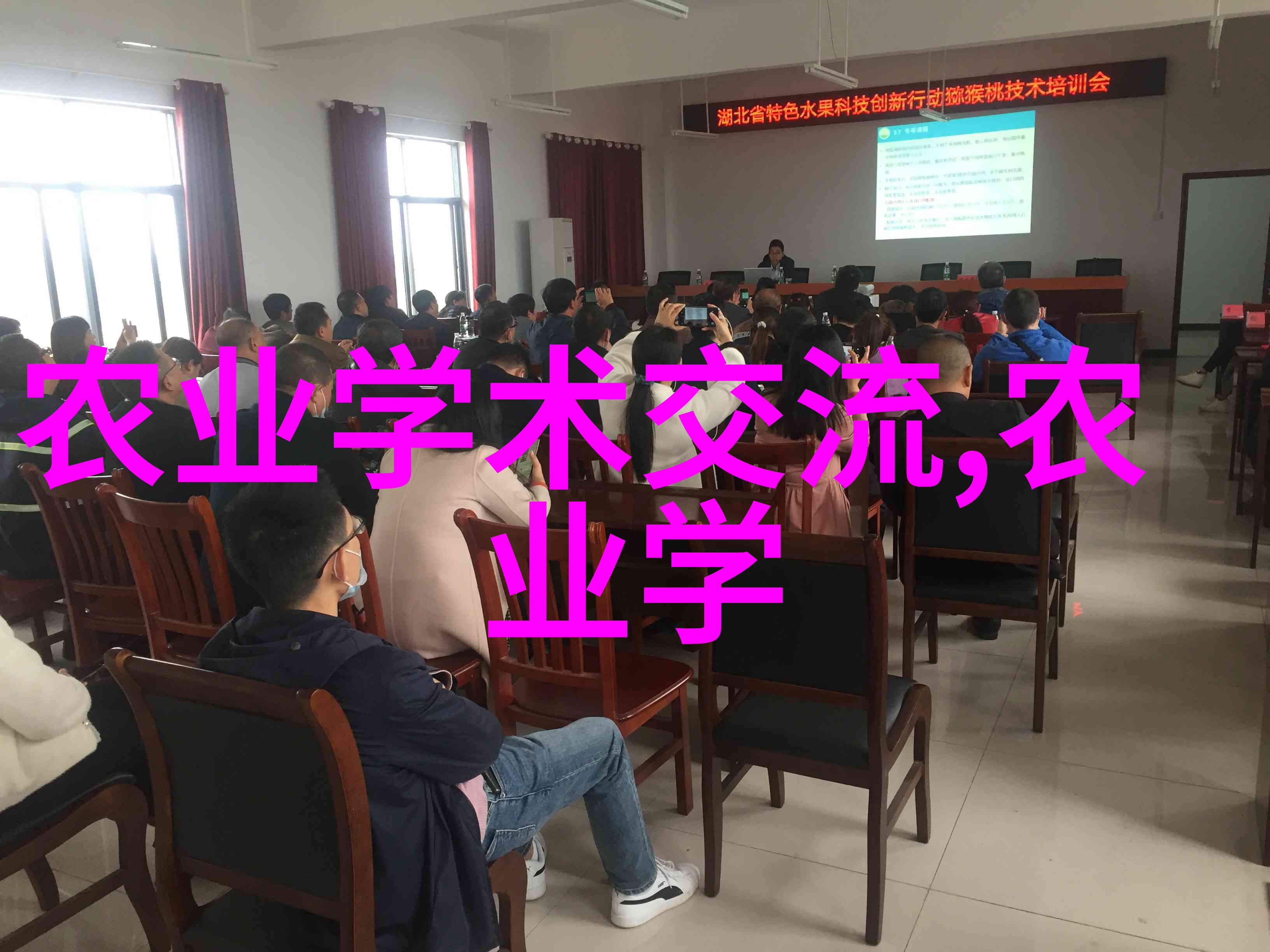 绿色革命现代农业蔬菜种植的技术与创新