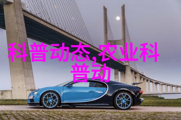 水果盆栽新手必备哪些水果最适合初学者种植