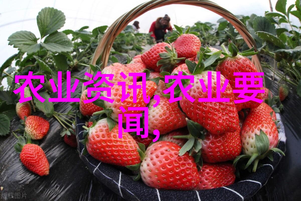 20个暴利养殖项目高收益的动物和植物养殖