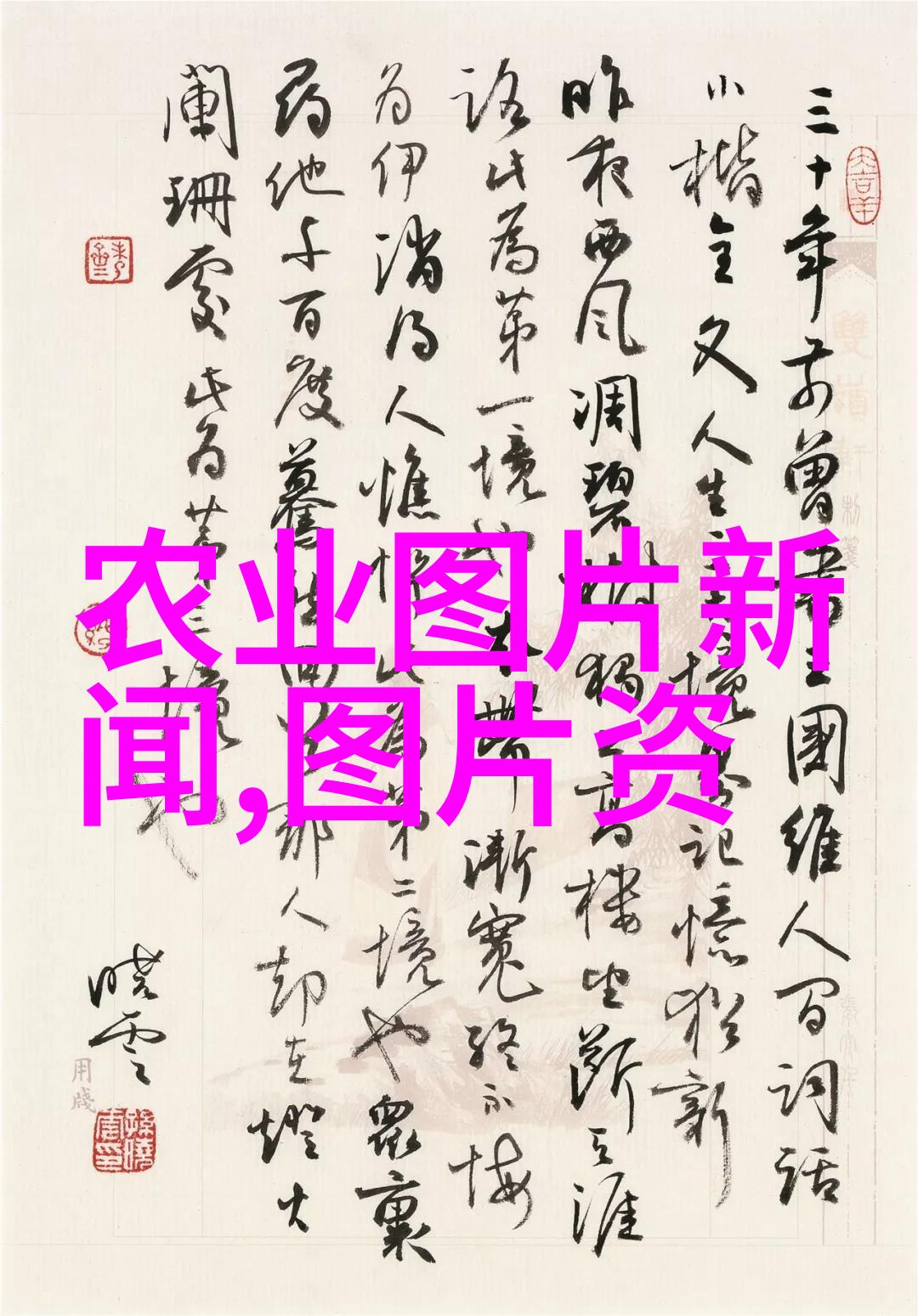 蓝莓介壳虫防控技术自然保护不需授粉的阳台水果