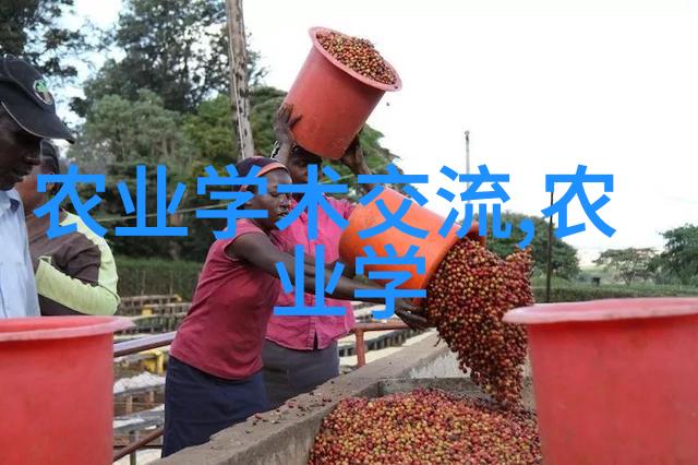 疙瘩头的秘密世界