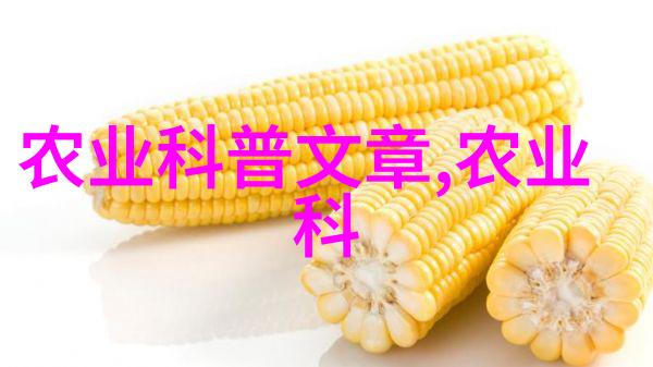 合作社联盟探索农业合作社的蔬菜供应网络