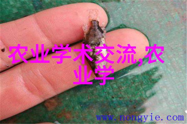 未来的农场智慧与科技的新篇章