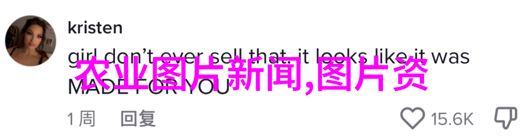 植物工艺品利用水果籽创作独一无二的装饰品