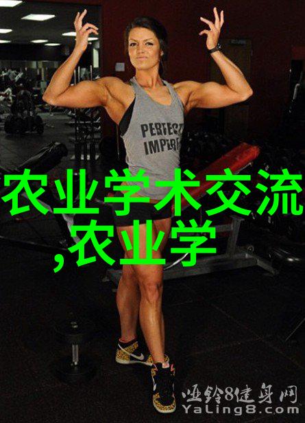 家庭花卉盆栽家居美化的绿色艺术