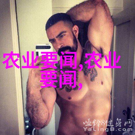 码垛机革命智能化物流的新篇章