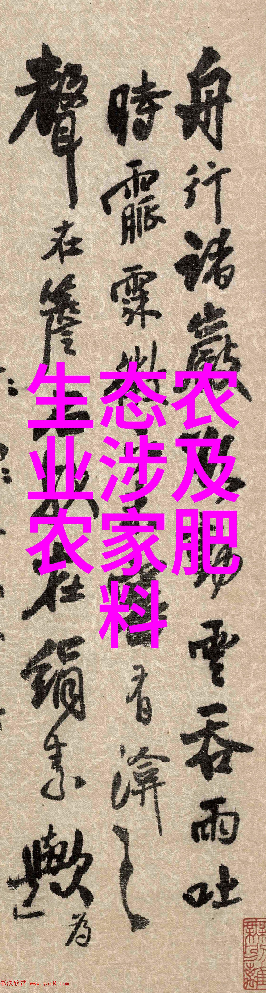 精致的小木槿
