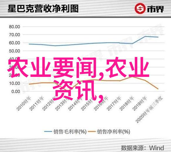 阳台最旺宅的植物我的绿意盎然好伙伴