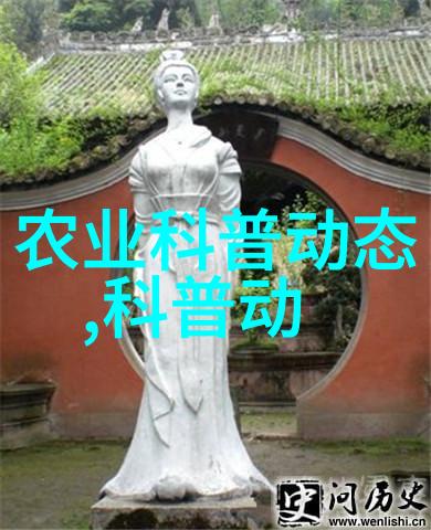 茶香缤纷生机勃勃揭秘这杯温柔的力量