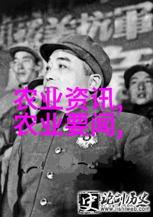 茶叶的特点香气味道营养价值