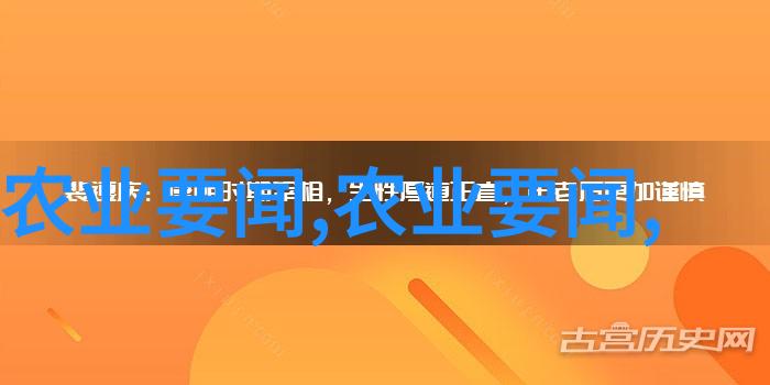 粮食之轮吸纳岁月的机遇与挑战