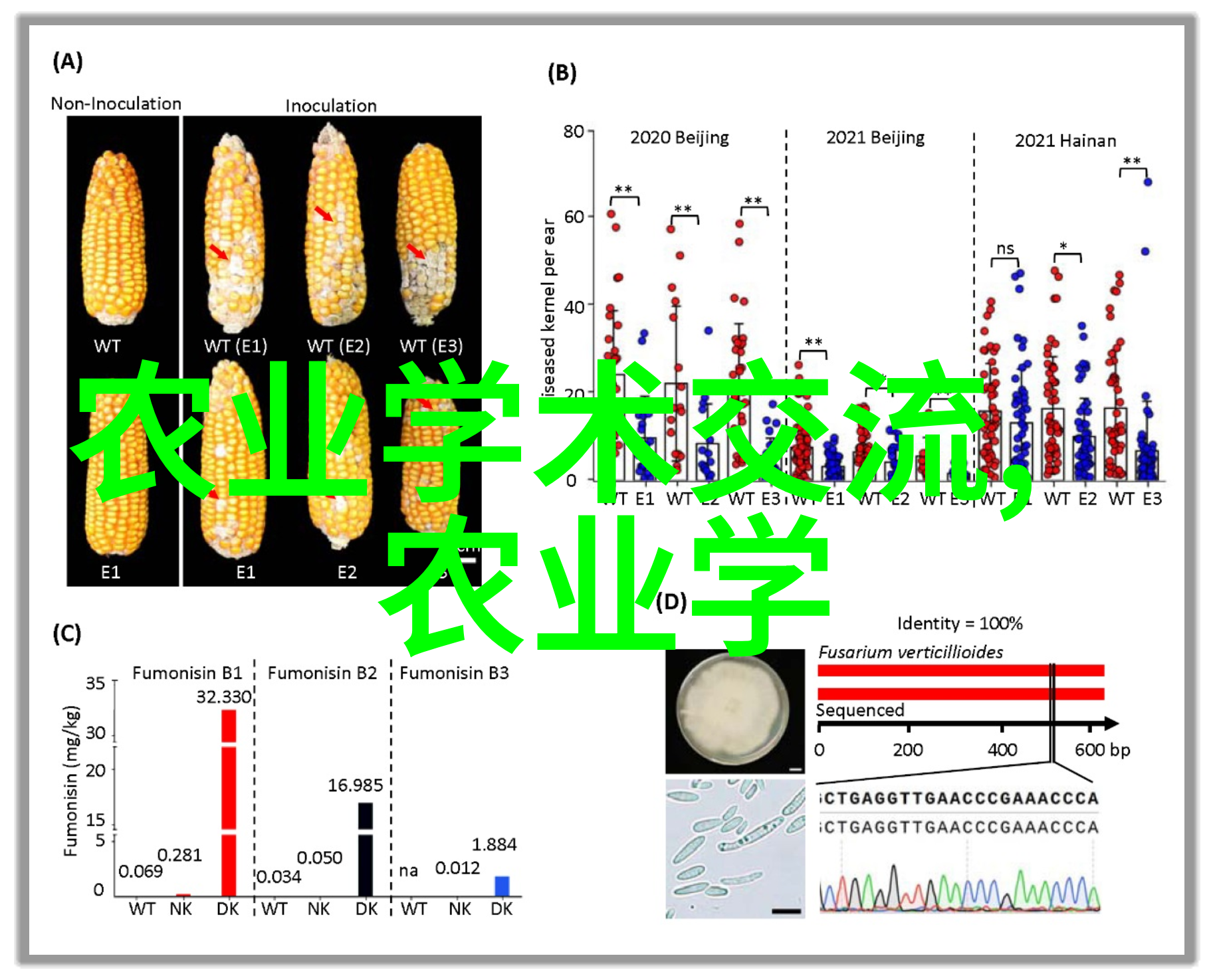 茶叶的文化与化学探索传统工艺与现代科技的交汇之处
