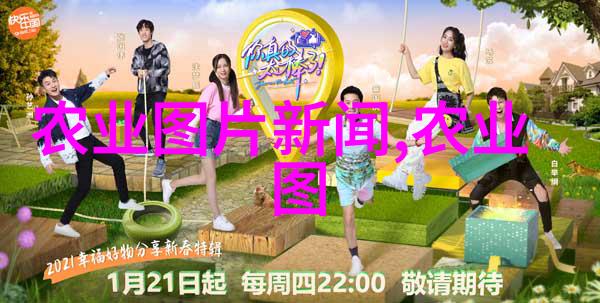 环境友好经济可行现代草药种植之路