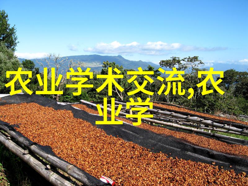茶叶的药用价值探究传统与现代视角下的研讨