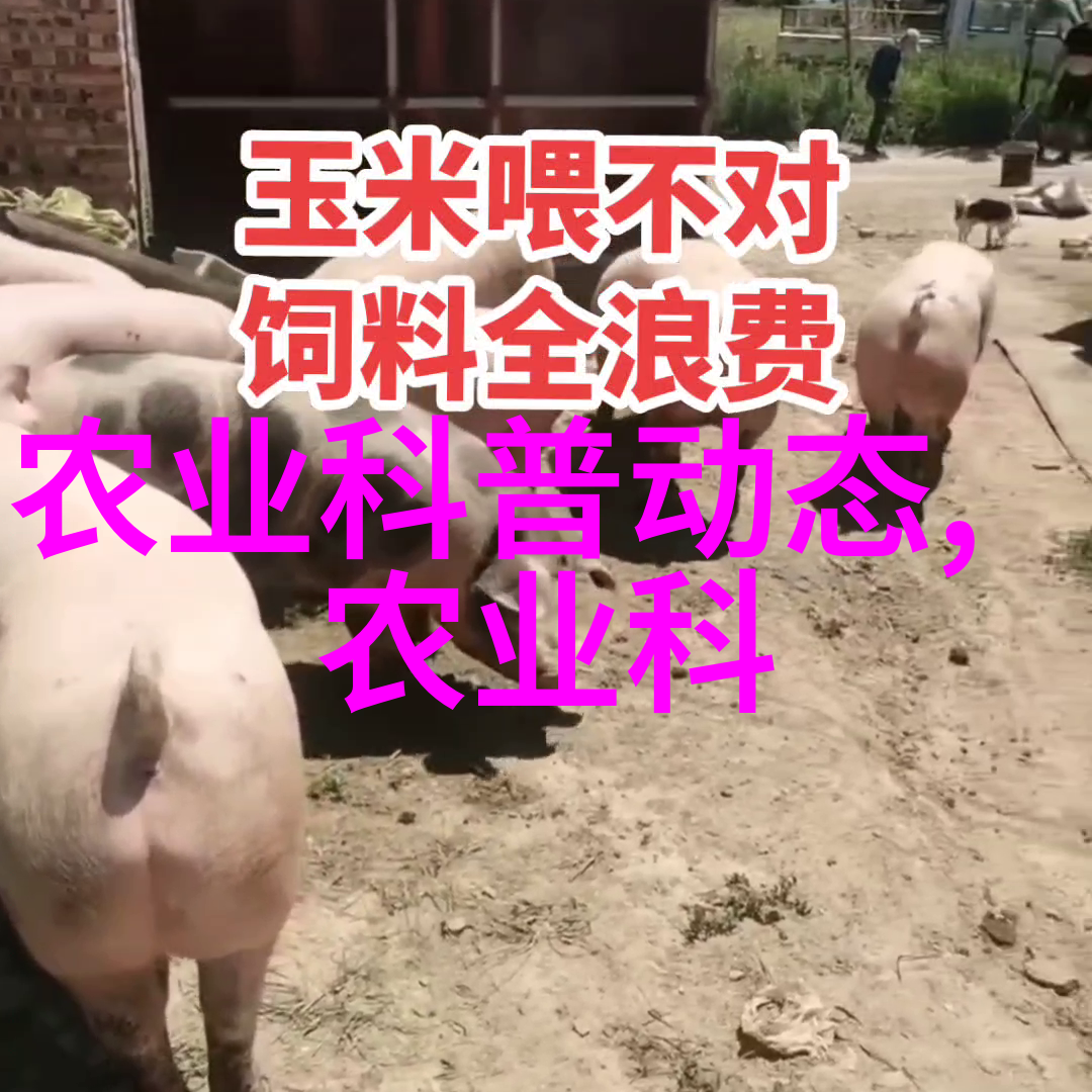 我来告诉你各种种子的图片和名字