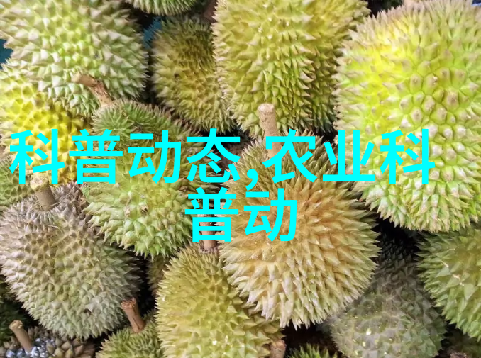 生物技术改良作物安全性和伦理问题该如何处理