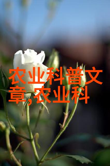 缅甸战乱最新进展缅甸军政府与民族武装组织的冲突情况