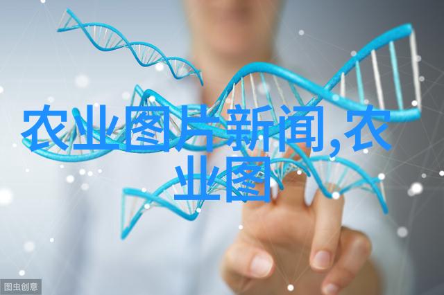 疙瘩头之谜紫皮洋葱背后的病虫害防治