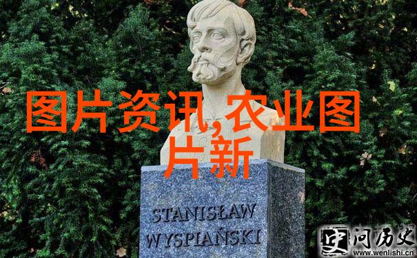 玉米之脊秸秆的新篇章