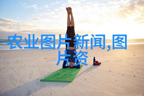 陕西的药材大王如何在花海中赚取丰厚的财富